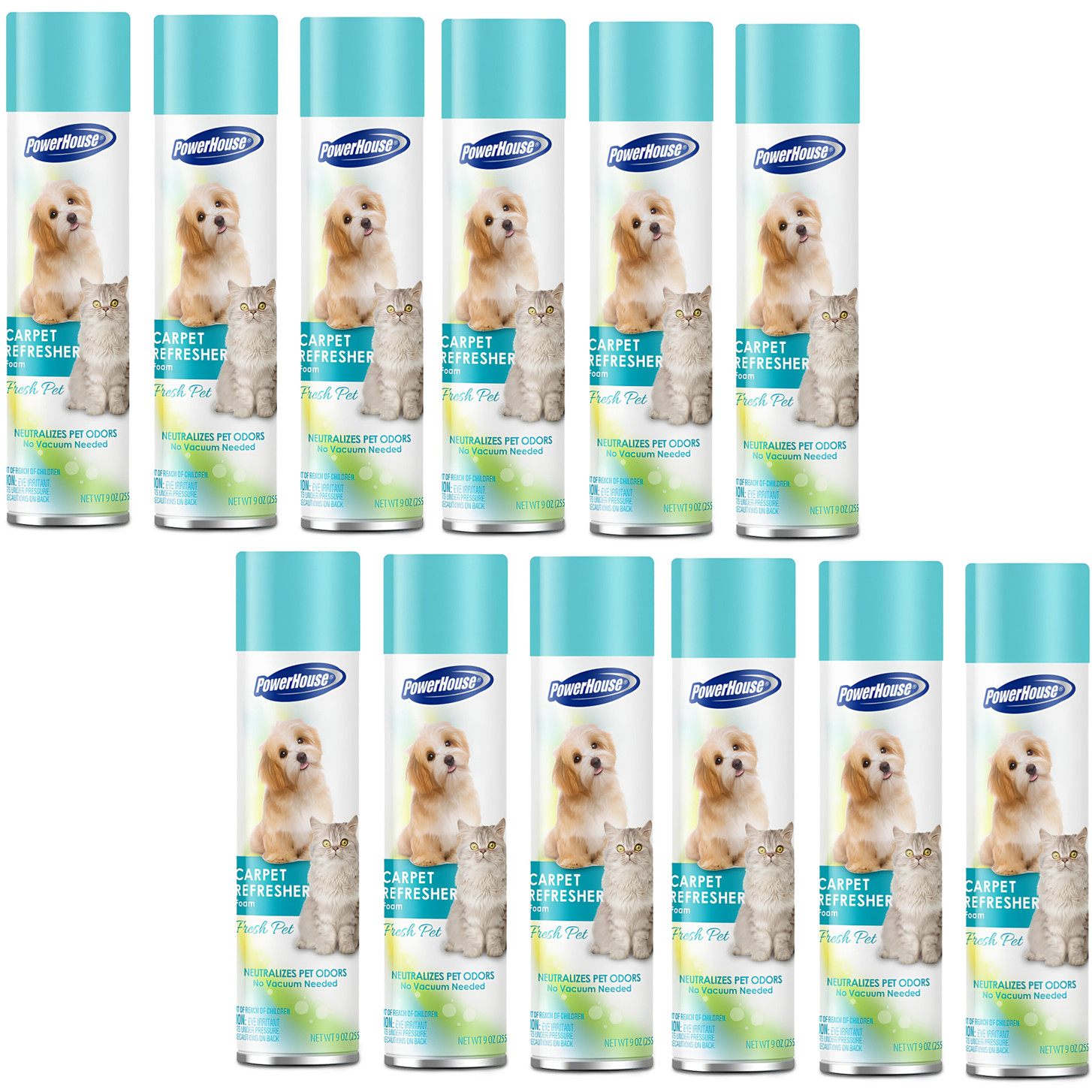 12 PowerHouse Carpet Refresher Foam Eliminates Pet Odors Fresh Pet Each 9 oz