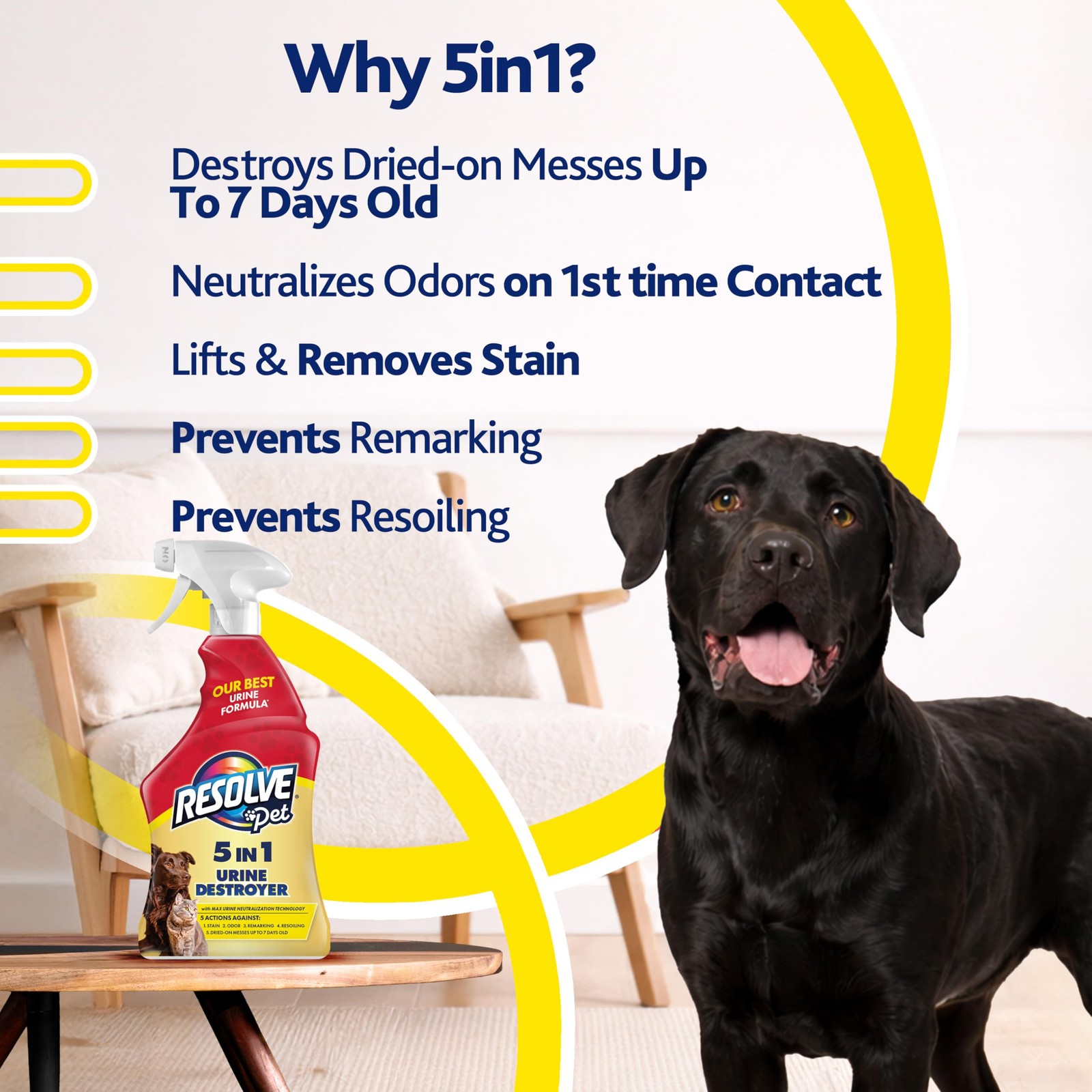 5-in-1 Urine Destroyer Carpet Cleaner Spray – Urine Eliminator for Pet Stains…