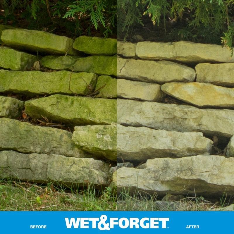 Outdoor Surface Cleaner Ready to Use Moss Mold Mildew Algae Stain Remover