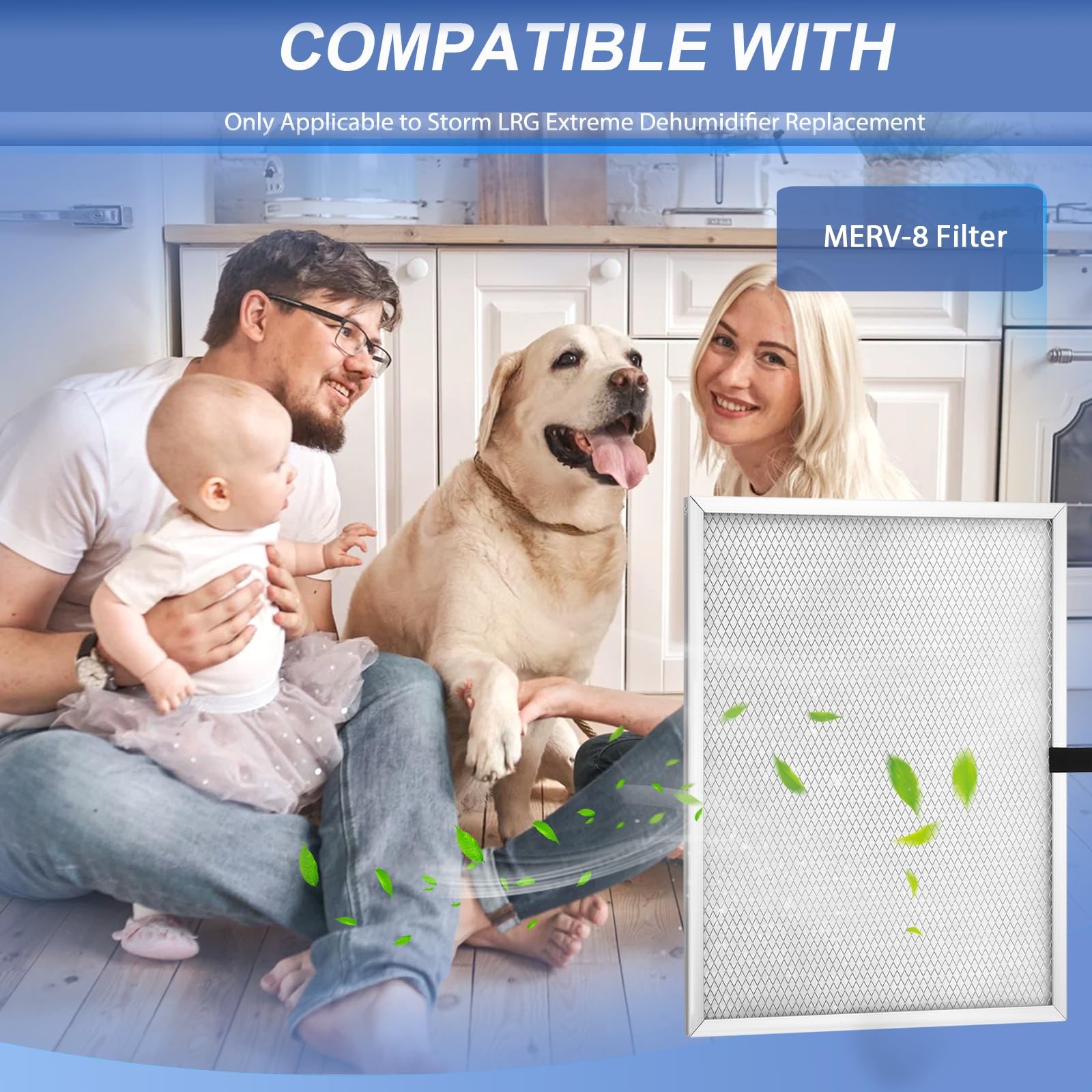 MERV 8 Dehumidifier Filter 6-Pack for ALORAIR Storm LGR – High Efficiency
