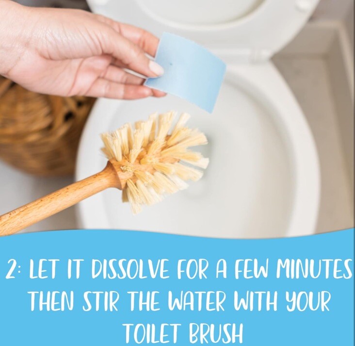 2 Packs TRU EARTH Eco-Strips Toilet Bowl Cleaner 12 Each, 24 Total Strips