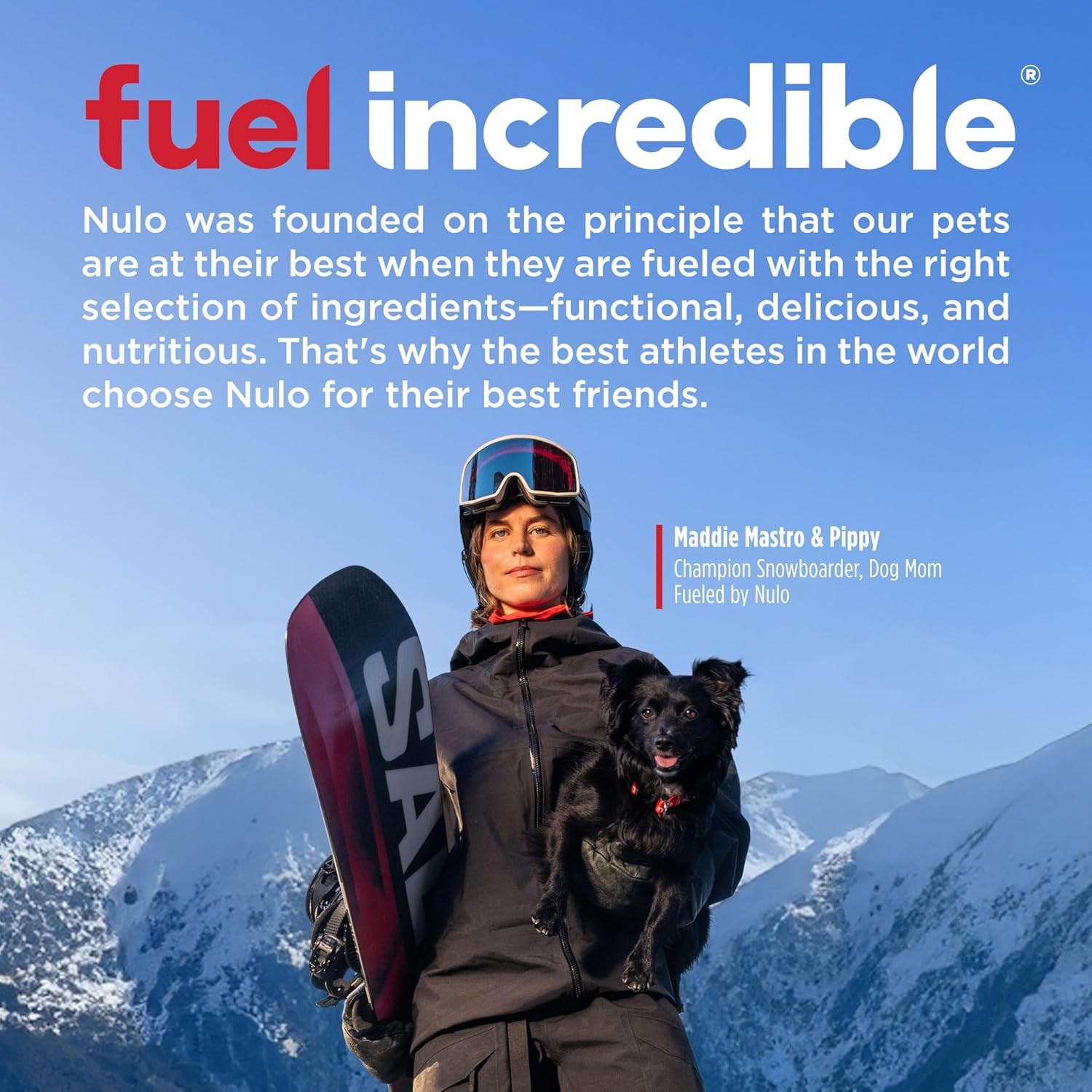 Nulo FreeStyle Small Breed Dog Food Dry – Salmon & Lentils, Puppy & Adult Grai