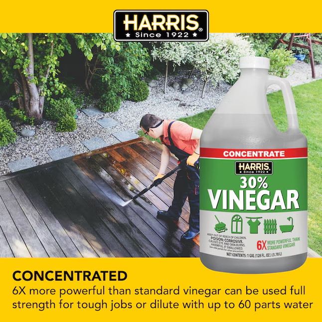 2 Pack Harris 30 Percent Vinegar Concentrated All Purpose Cleaner 1 Gallon Jug