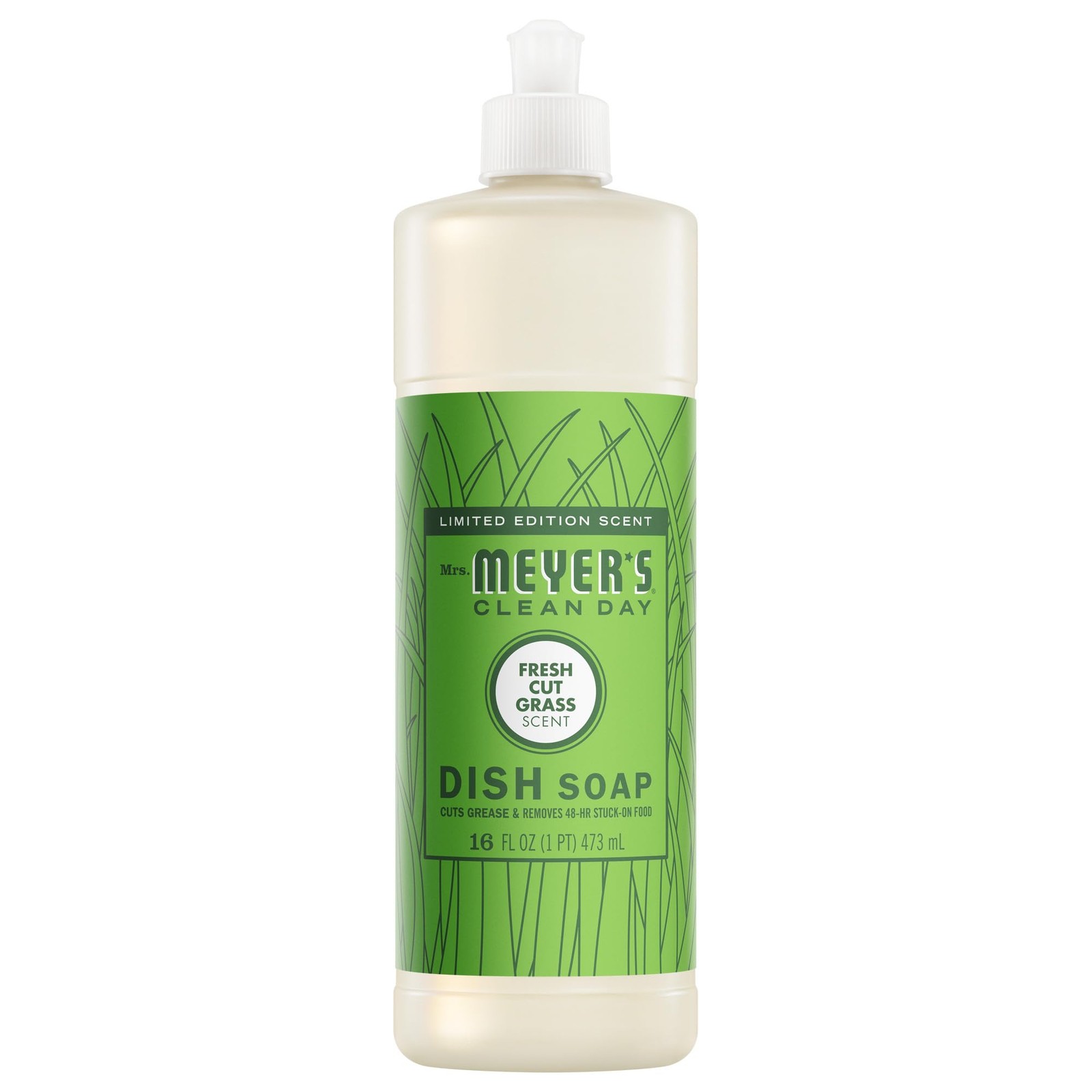 CLEAN DAY Liquid Dish Soap, Fresh Cut Grass Scent, 16 Ounce Bottle
