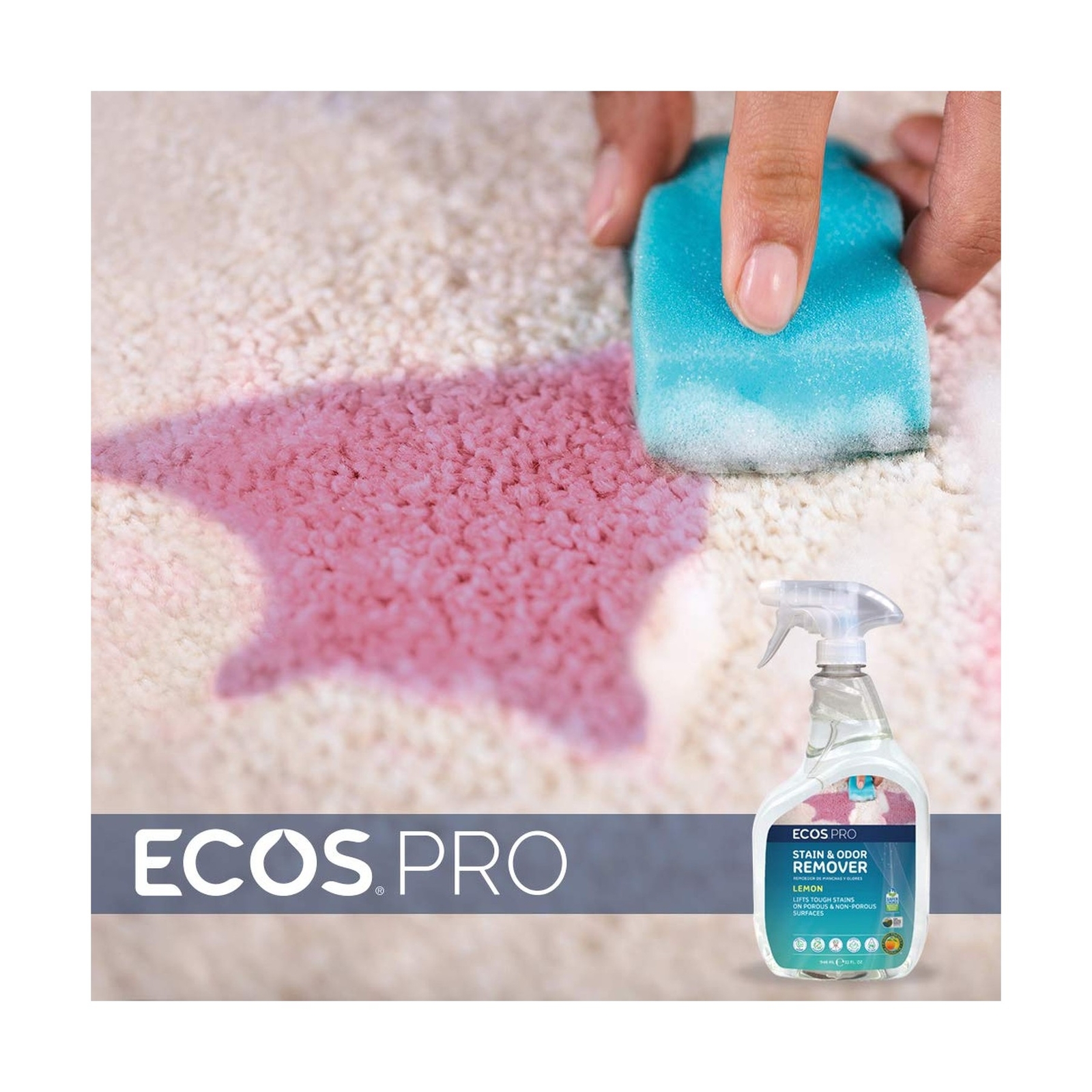 ECOS PRO PL9707/6 Stain and Odor Remover (Pack of 6)