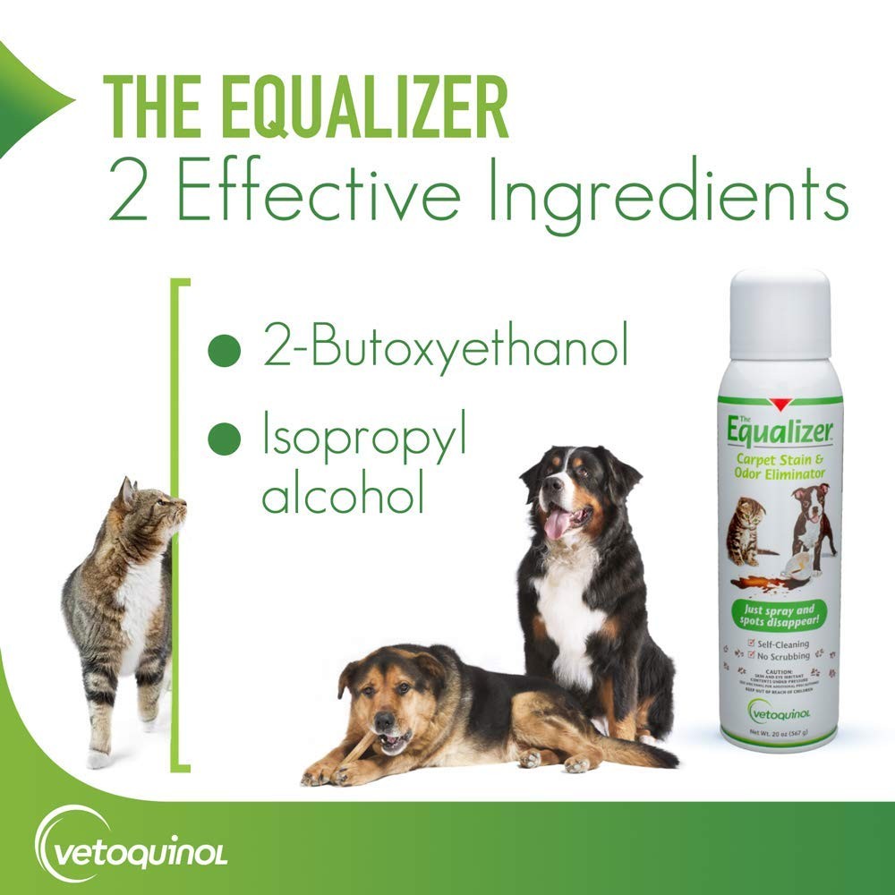Vetoquinol Equalizer Pet Carpet Cleaner, Stain Remover Odor Eliminator, Car…