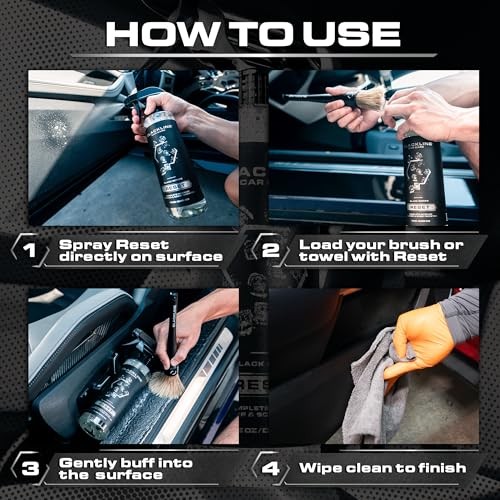 Luxury Scented Leather Interior Car Cleaner 16 Fl Oz (Pack of 1) Dark Ice