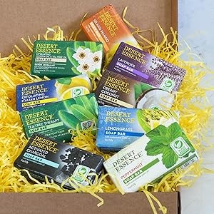 Tea Tree Therapy Cleansing Bar Soap – 5 Ounce – Therapeutic Skincare – All Skin