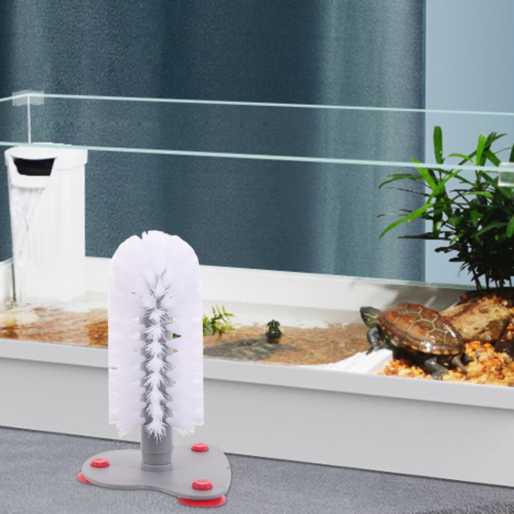 Cup Washing for Turtle Reptile Supplies Pet