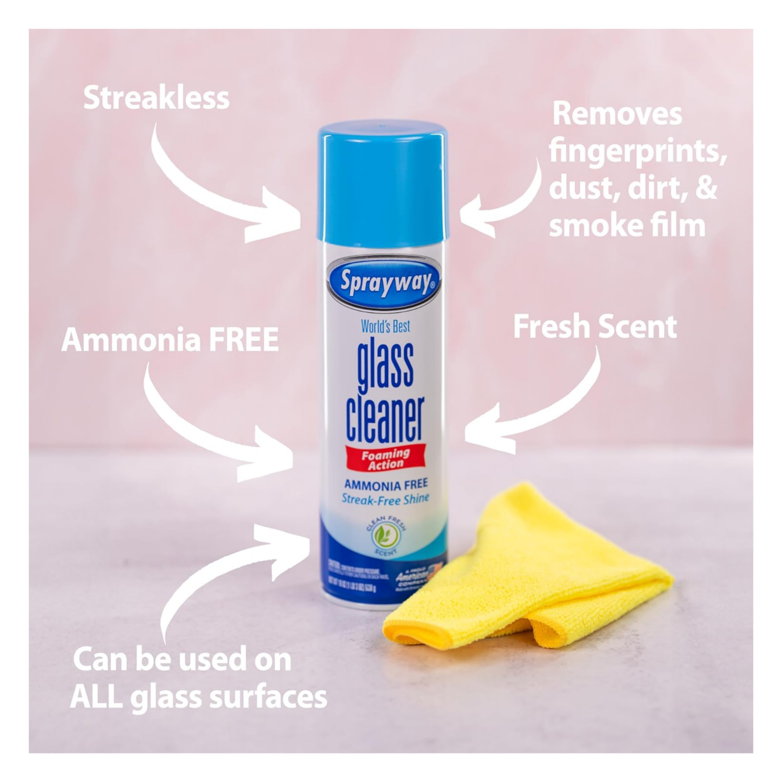 Sprayway Glass Cleaner 19 Ounce Pack of 4 Streak Free Shine free shipping