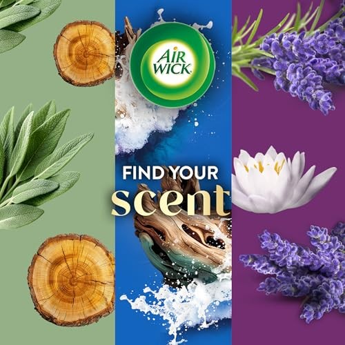 Air Wick Plug In Scented Oil Refills, White Sage & Mahogany, 5 Count