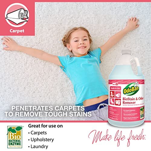 OdoBan Professional Cleaning and Odor Control Solutions, Assorted Sizes