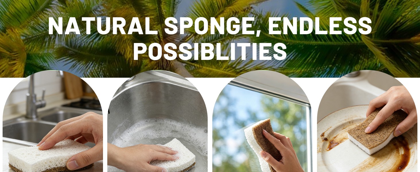12 Pack Biodegradable Kitchen Dish Sponges, Natural Plant-Based Coconut Fiber
