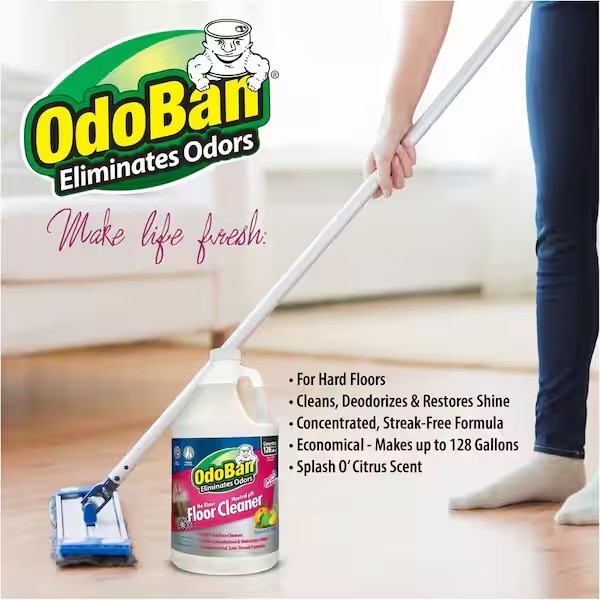 OdoBan 1 Gal. No Rinse Neutral pH Floor Cleaner, Concentrated Floor Cleaner