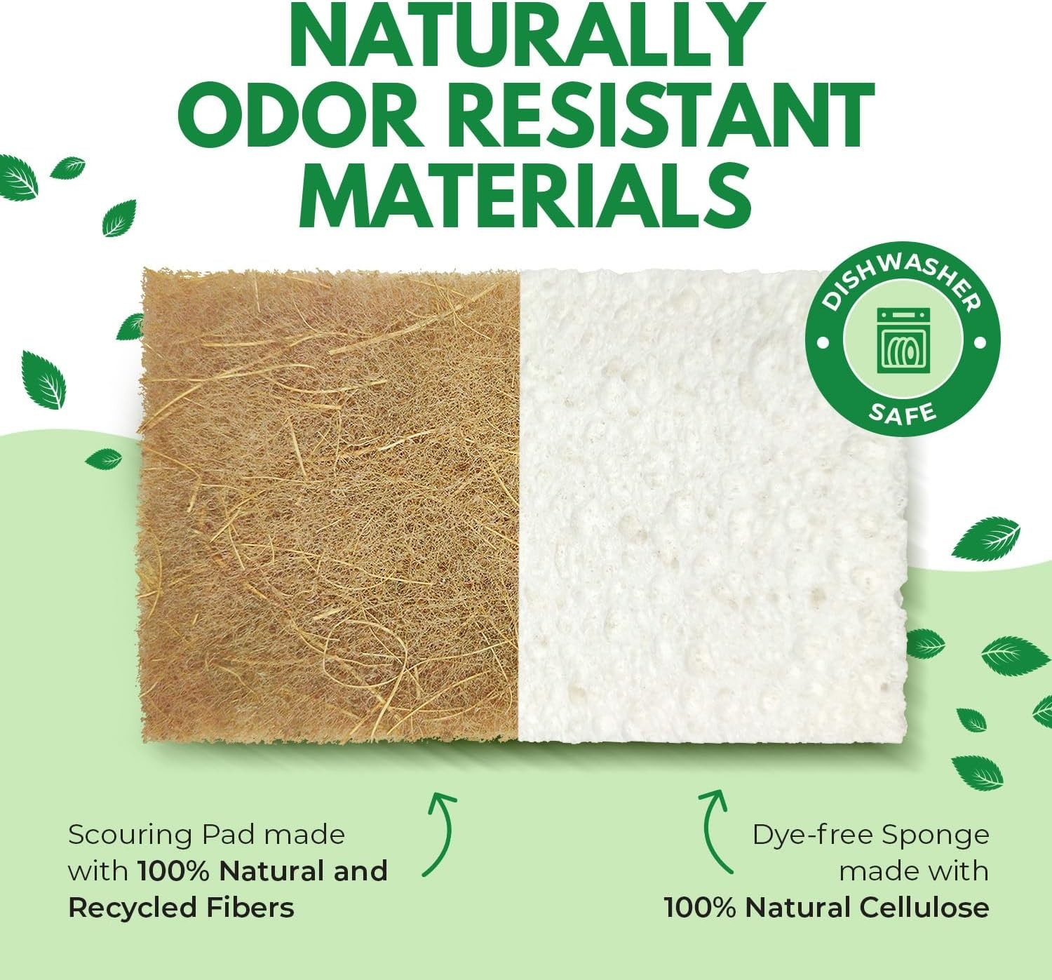 10 Pack Biodegradable Natural Kitchen Sponge – Compostable Cellulose and Coconut