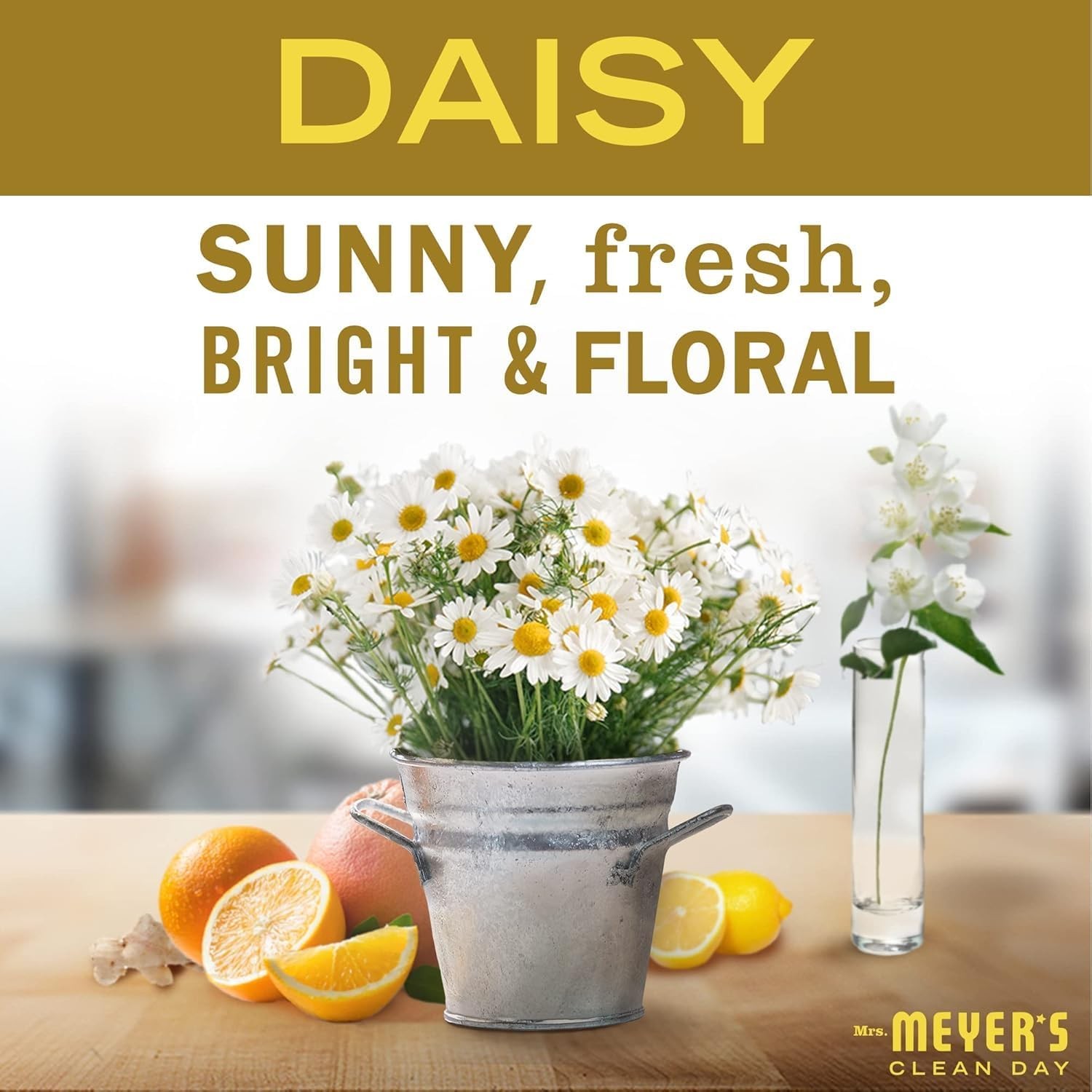 CLEAN DAY Liquid Dish Soap Daisy Scent 16 Ounce Bottle Pack of 3)