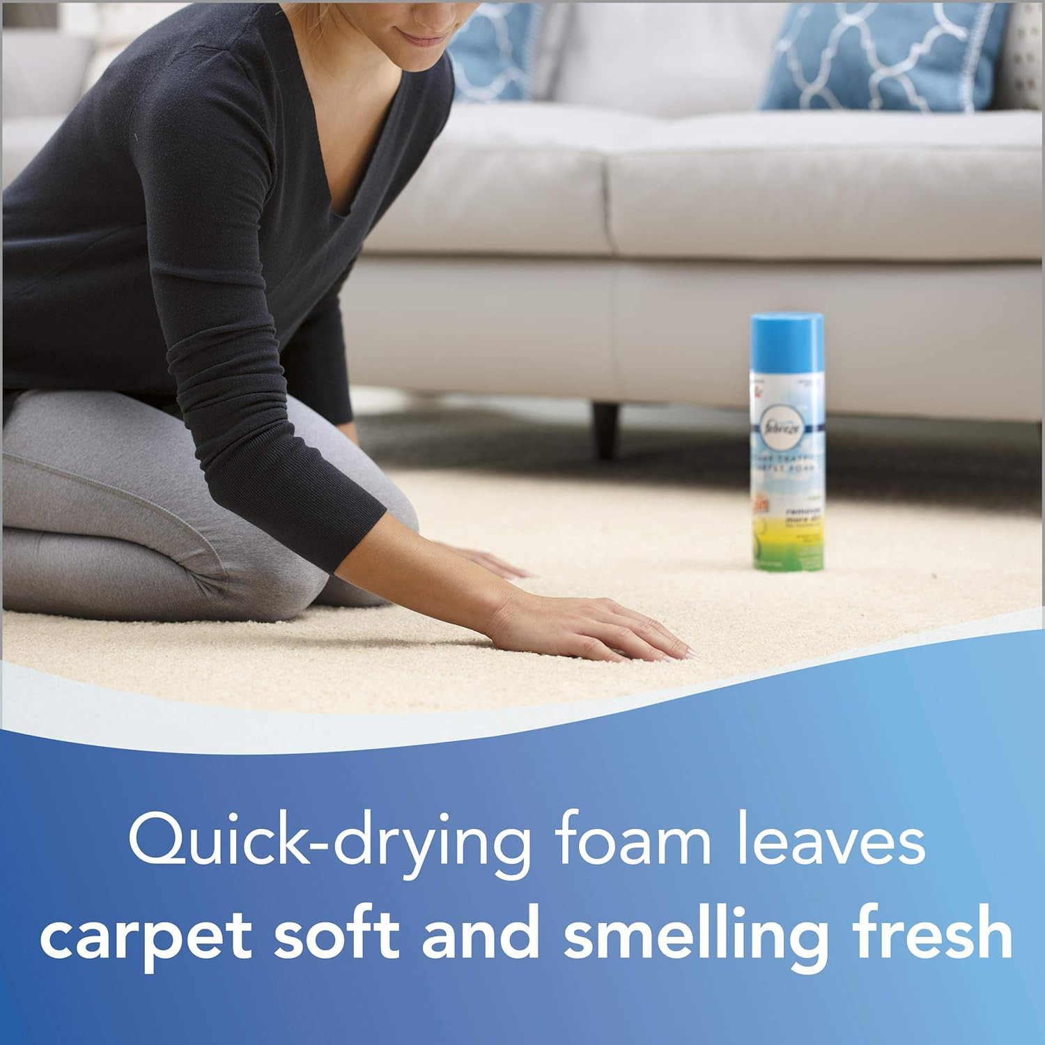 Heavy Traffic Carpet Foam, Gain, 22Oz (Pack of 4), 14399