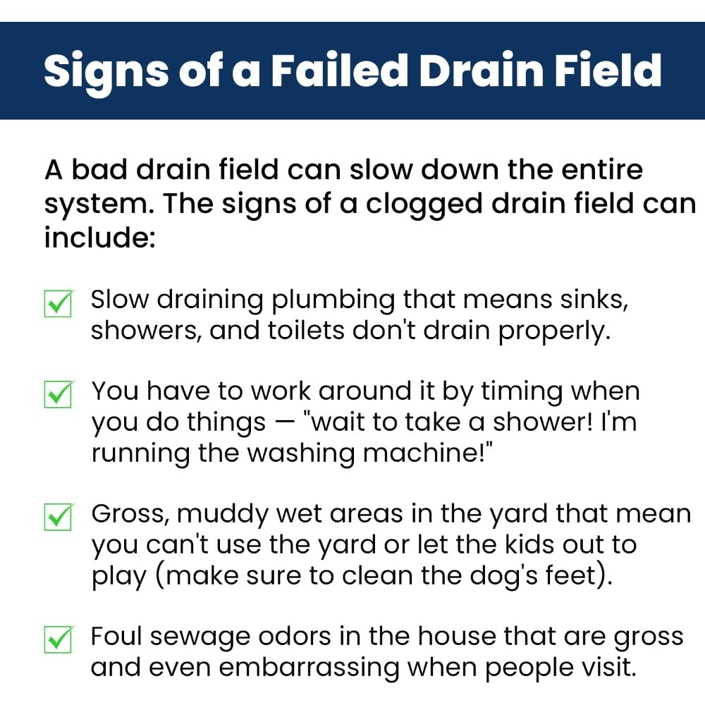 Drain Field Cleaner Tablets by Dr Pooper. Clears Septic Tanks and Drain Field…