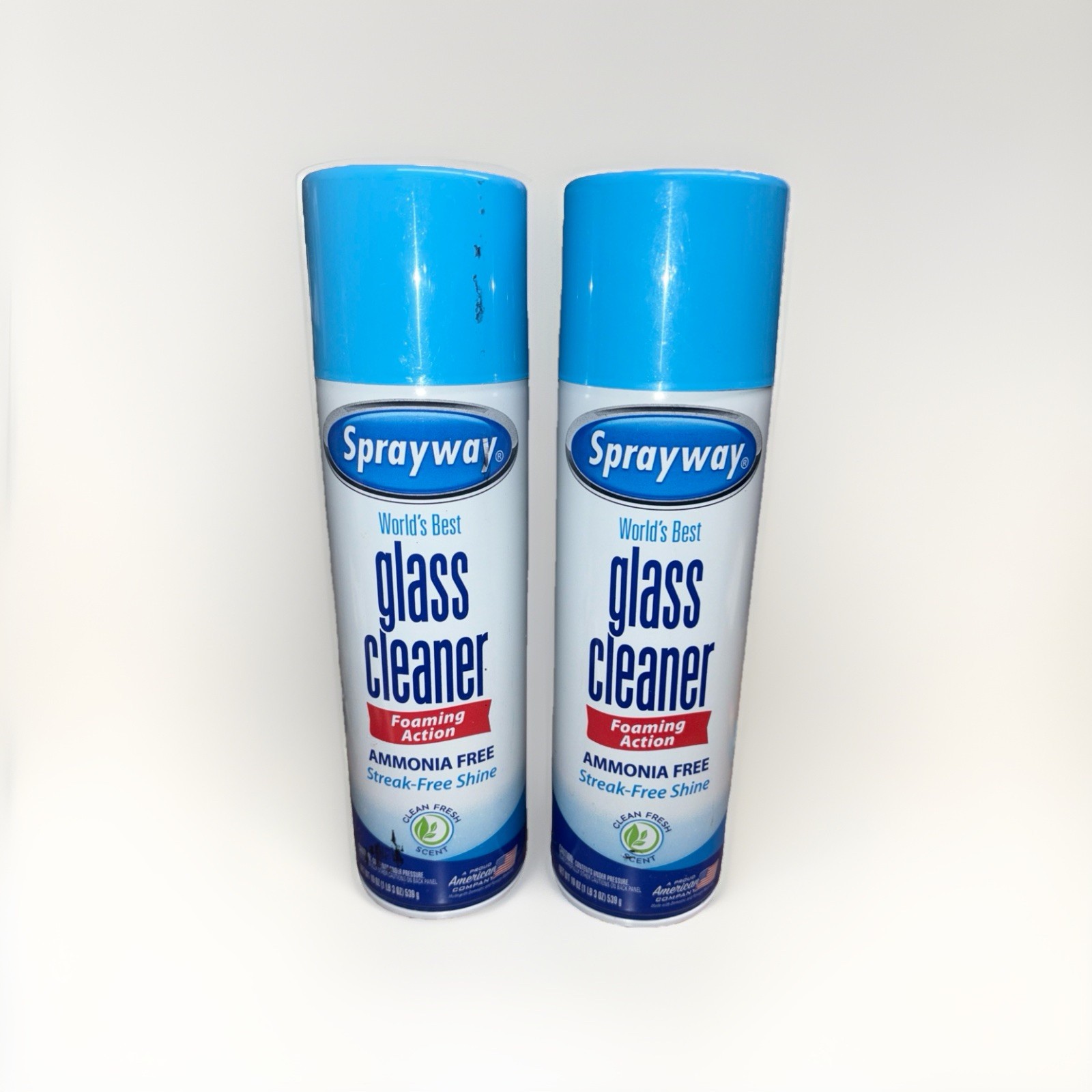 2 PACK Sprayway World’s Best Glass Cleaner, Value Pack, 23OZ