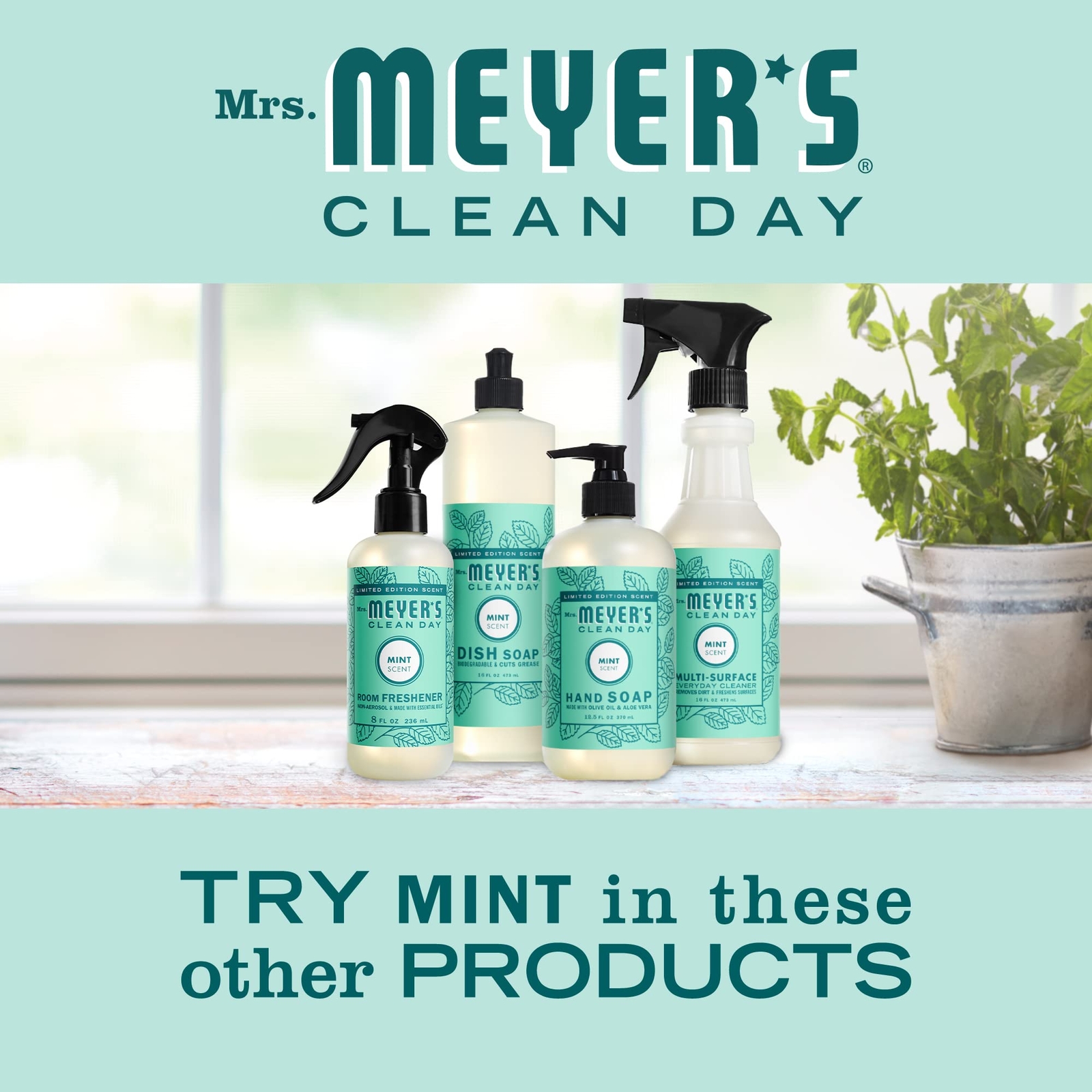 Mrs Meyer’s Clean Day Mint Dish Soap 16 Fl Oz Pack of 3 Plant Based Grease Cu…