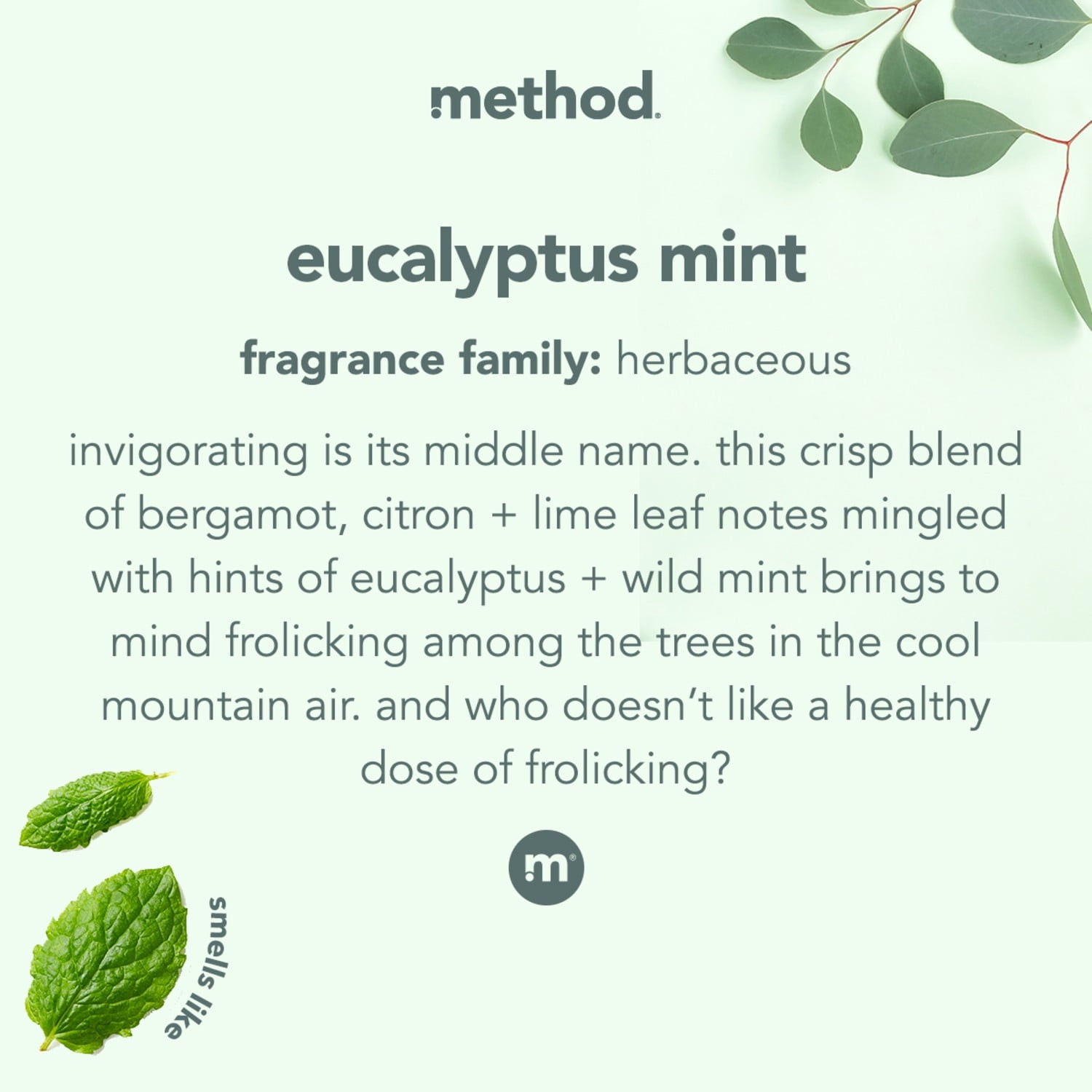 (4 pack) Eucalyptus Mint Foaming Bathroom Cleaner, 28 Fl Oz
