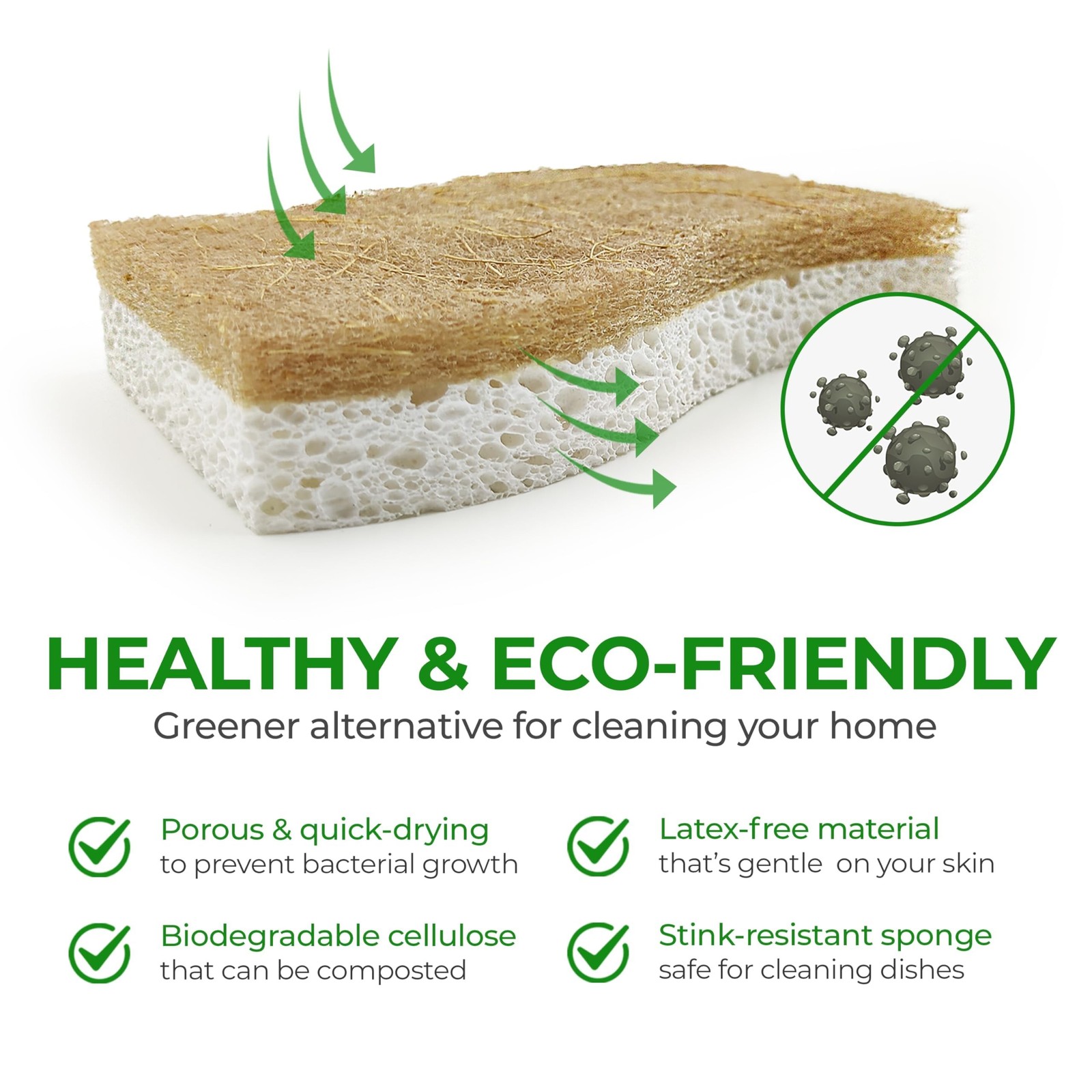 AIRNEX Natural Kitchen Sponges (12 Pack) – Biodegradable Cellulose & Coconut …