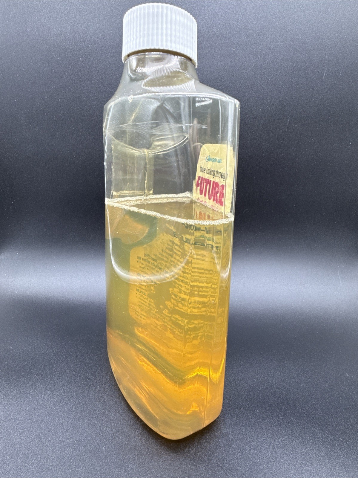 Vintage Future No Wax Floor Shine 1980 SE Johnson 46 oz ~75% full