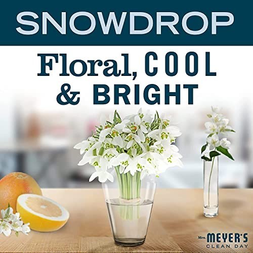 Multi-Surface Cleaner Variety Pack, 16 OZ Each, Iowa Pine & Snow Drop Scents