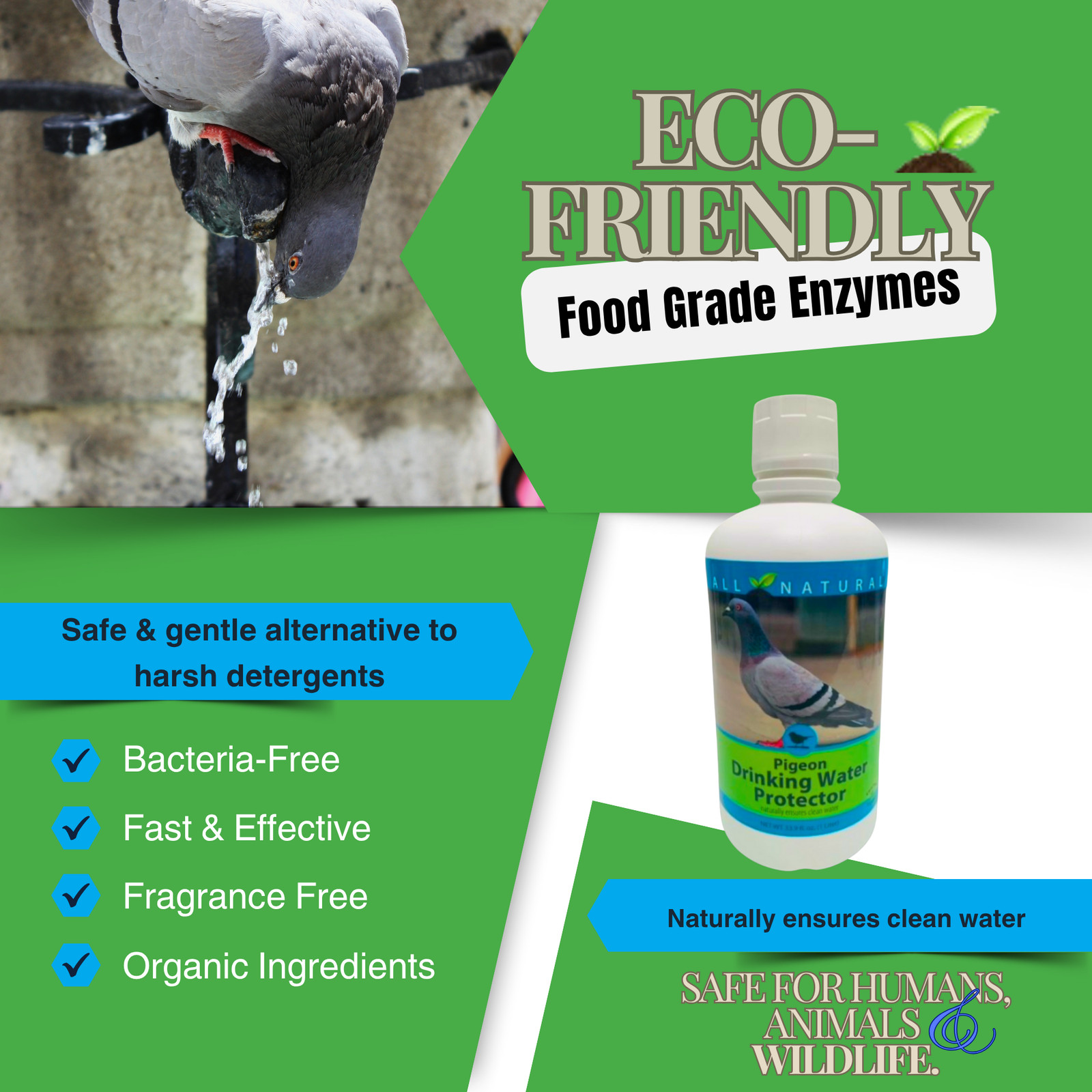 Pigeon Drinking Water Protector | Keeps Water Fresh & Slime-Free | 16 oz & 33.9