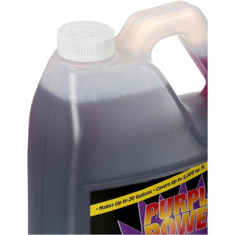 Heavy-Duty Premium Multi-Purpose Pressure Washer fluid concentrate , 1 Gallon