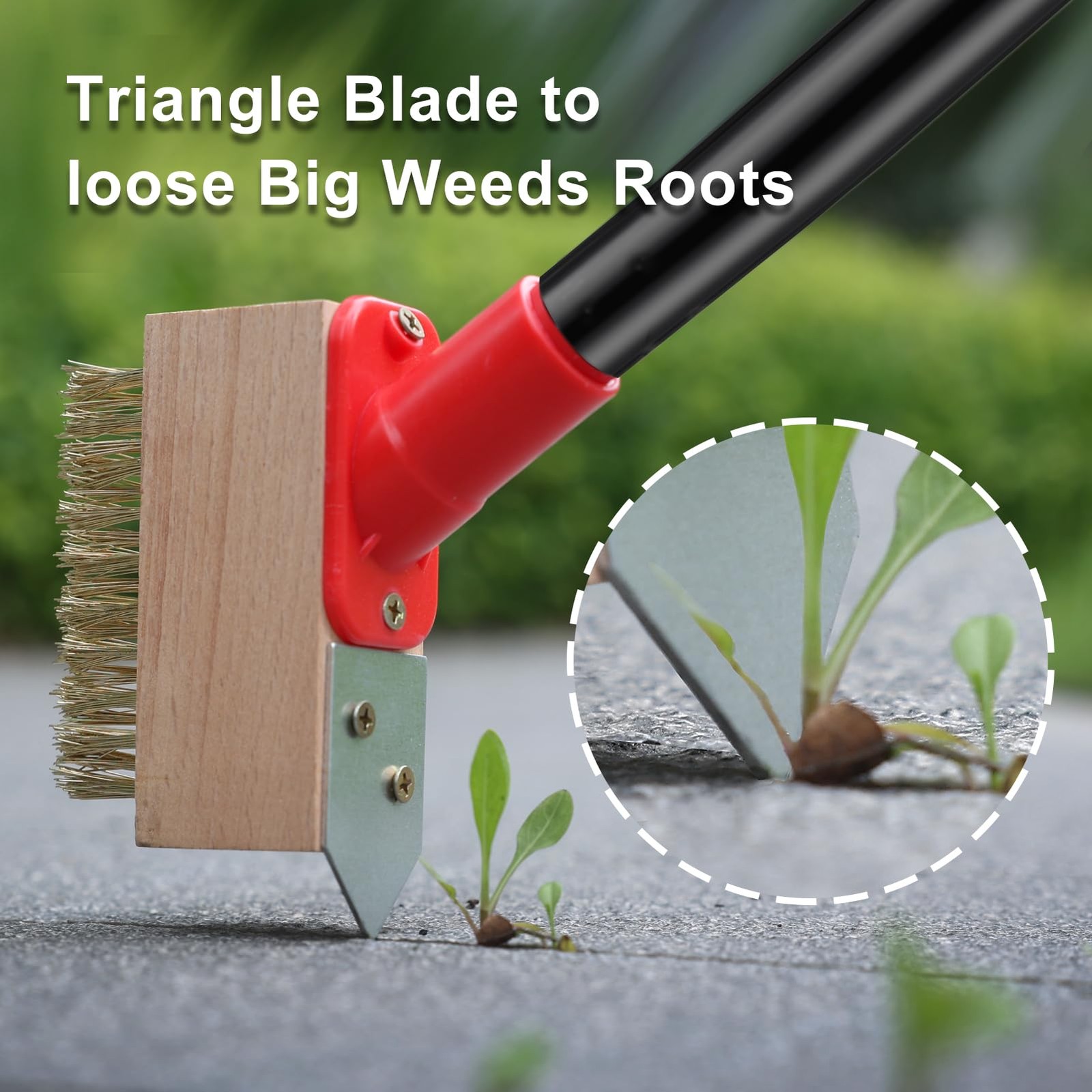 Moss Remove Brush with Long Handle(53IN), Deck Crevice Cleaning Tool, Weed Re
