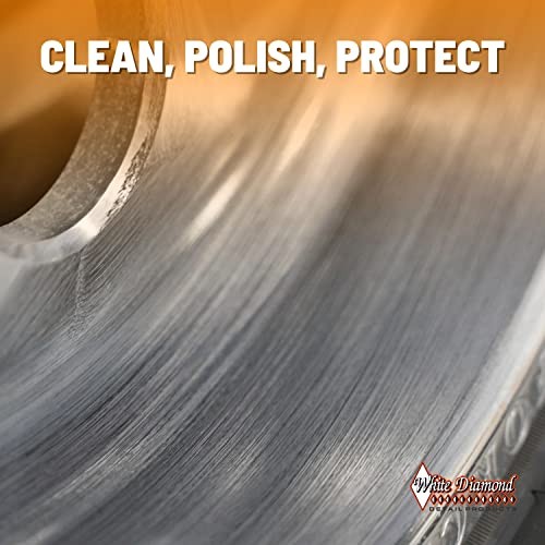 Metal Polish with Long Lasting Sealant, 12 fl oz is a 12 Fl Oz (Pack of 1)