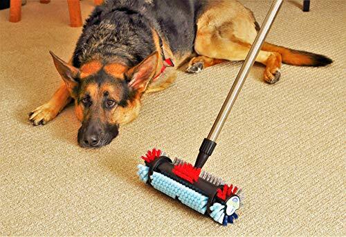 by The Cleaning Experts at Kirby® Comes The Spotty™ ~ Carpet and Ceramic Tile…