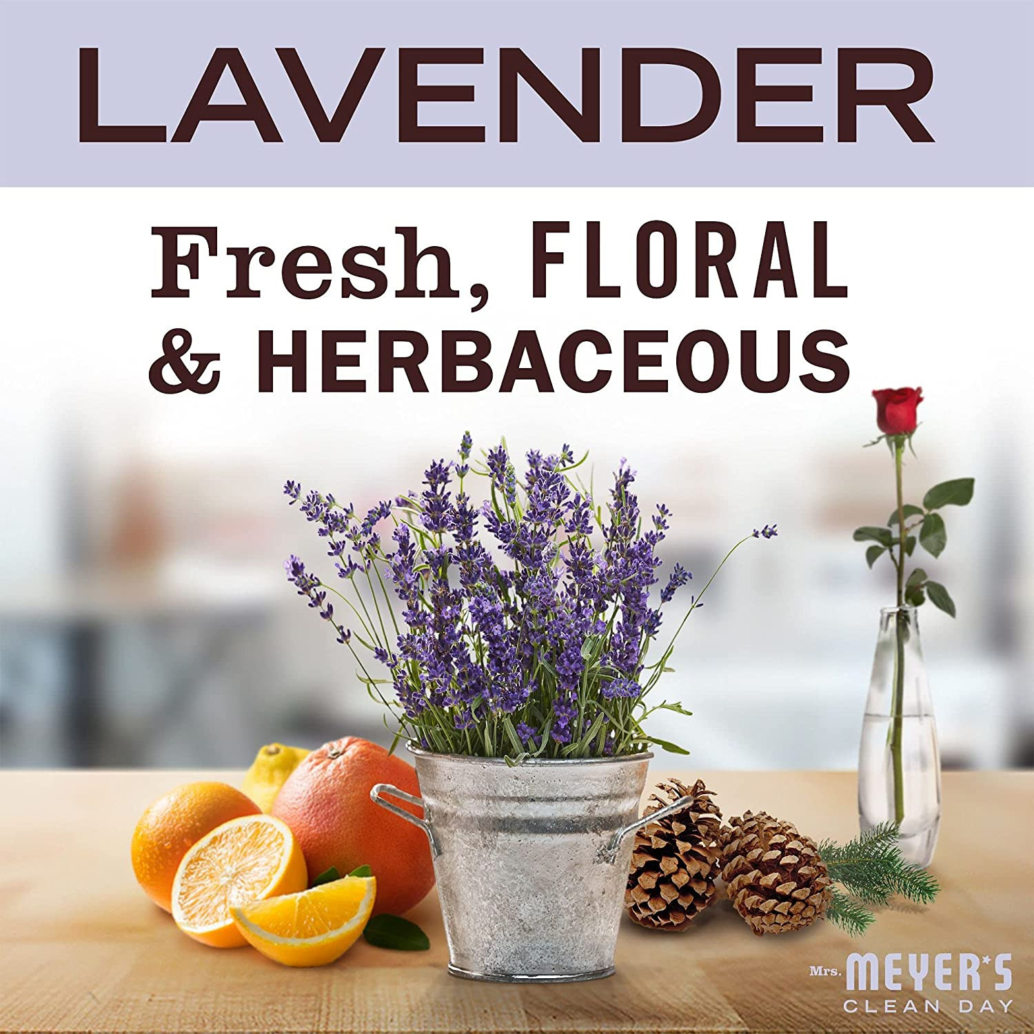 Mrs. Meyer’s Clean Day Multi-Surface Everyday Cleaner, Lavender 16 Oz- Pack of 3