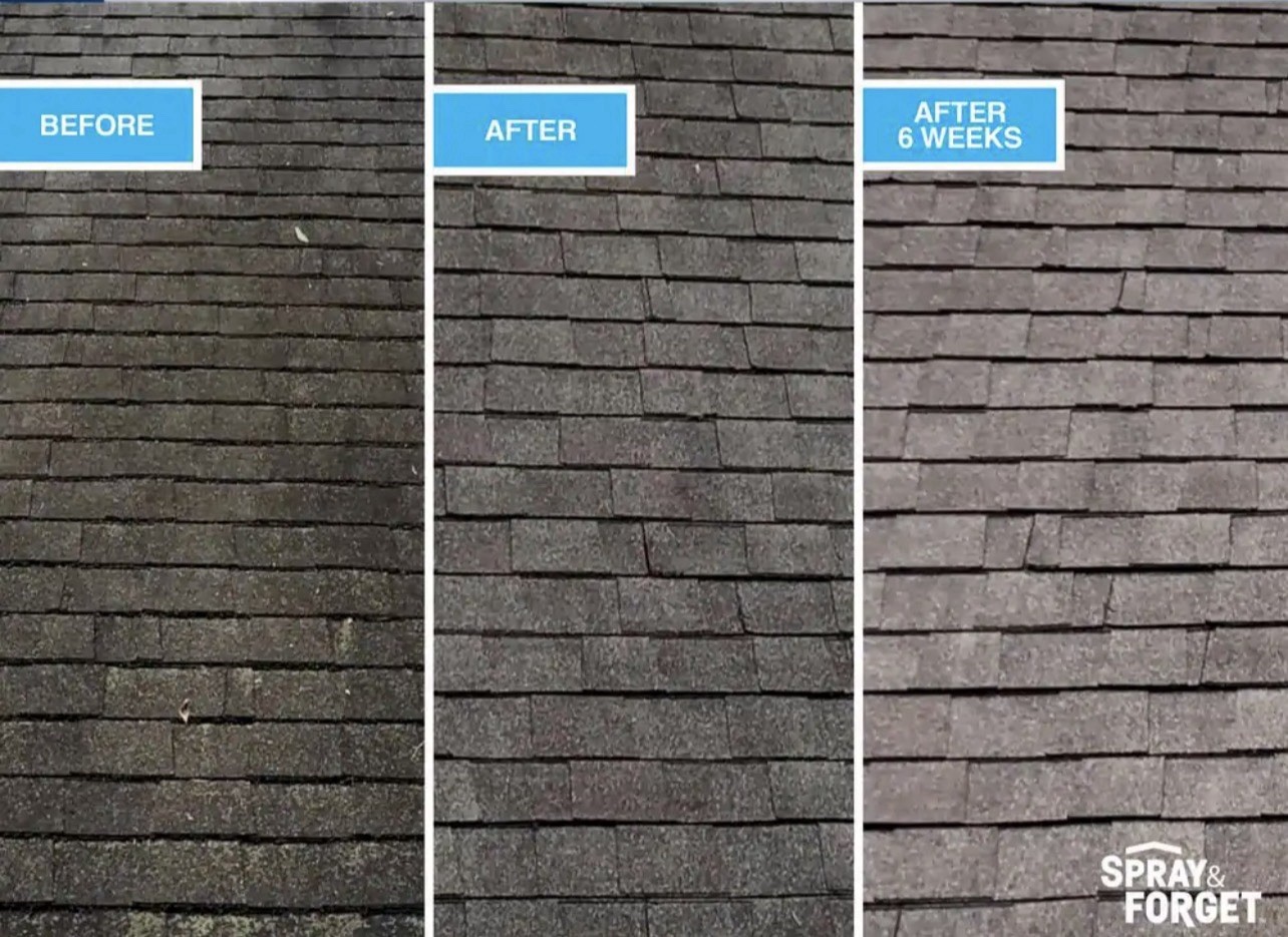 Spray & Forget 1 Gal. Revolutionary Roof Cleaner Concentrate