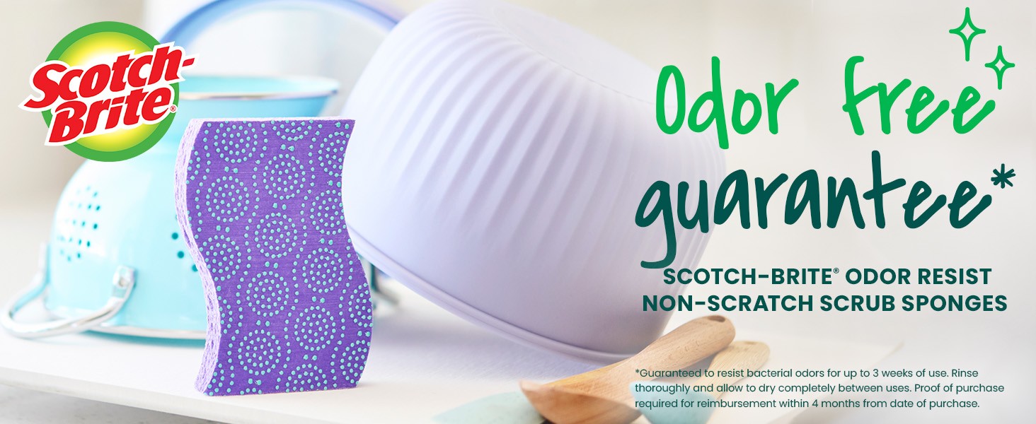 Scrub Dots Non-Scratch Scrub Sponge, Rinses Clean, for Washing Dishes and