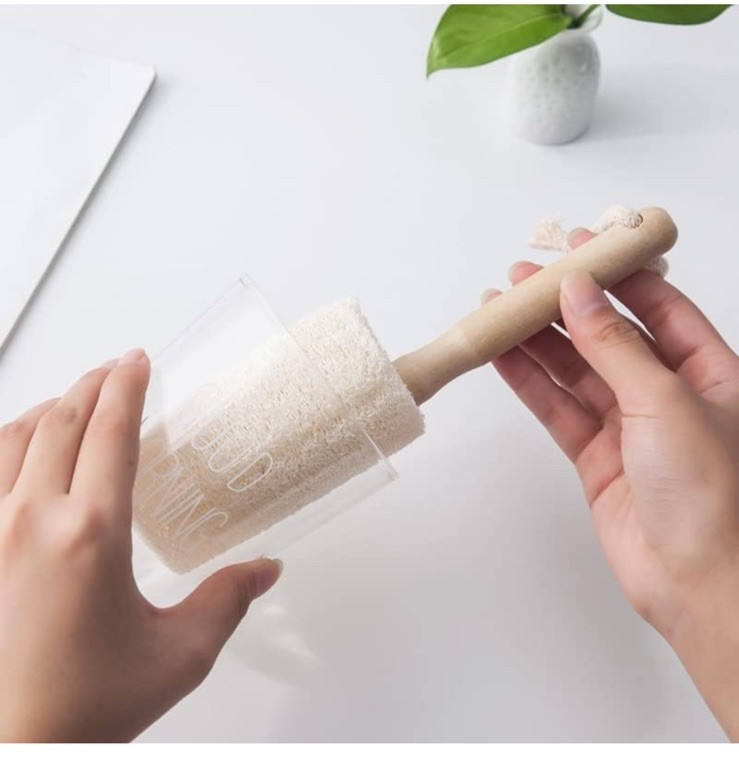 2 Pcs Rack Loofah Cup Brush Kitchen Cleaning Utensil Brushes