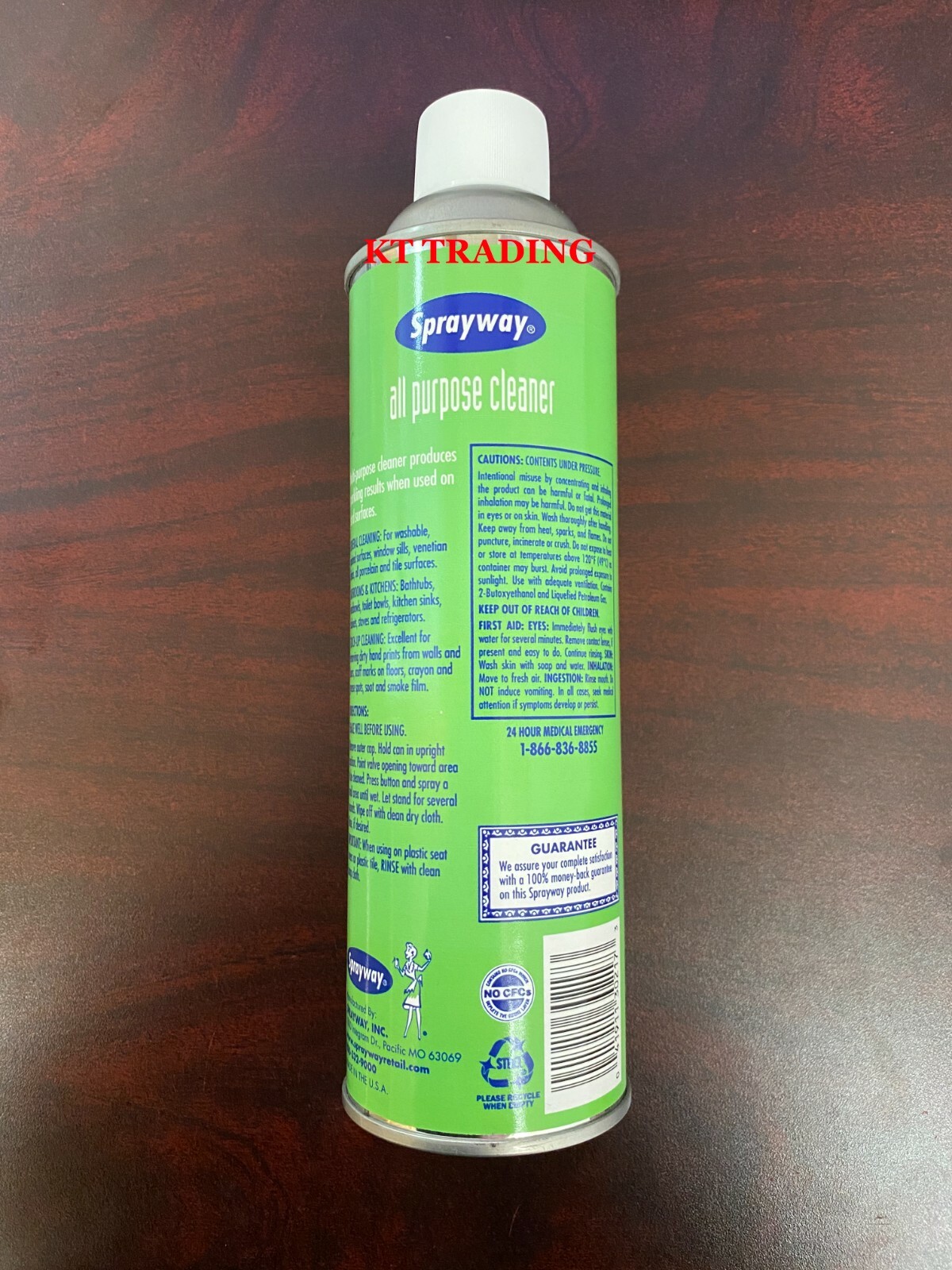 SPRAYWAY ~ ALL PURPOSE CLEANER Clean Deodorize Bathroom Kitchen Porcelain Tiles
