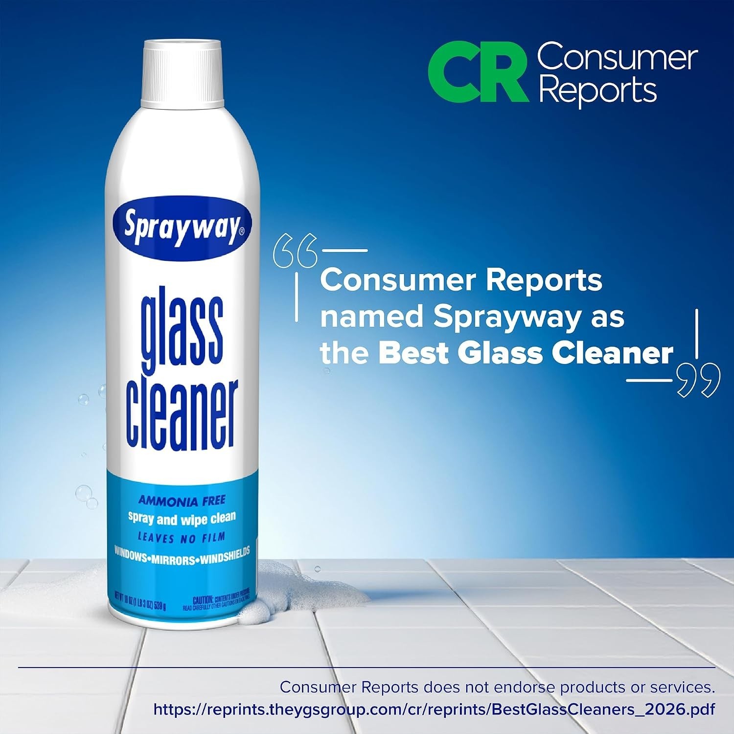 12 Pack Glass Cleaner Foaming Spray 19oz.