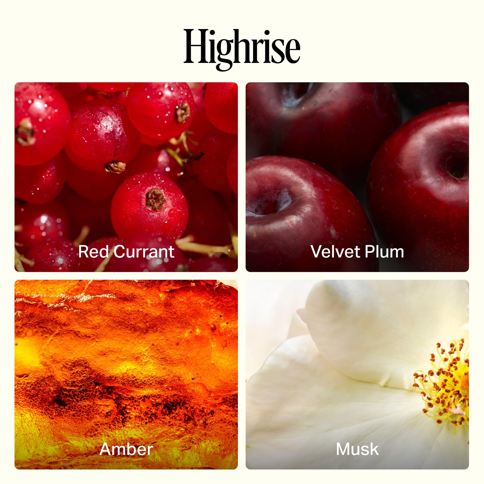 Luxury All-Purpose Cleaner, Highrise Scent | Bio-Based Multi-Surface Spray | …