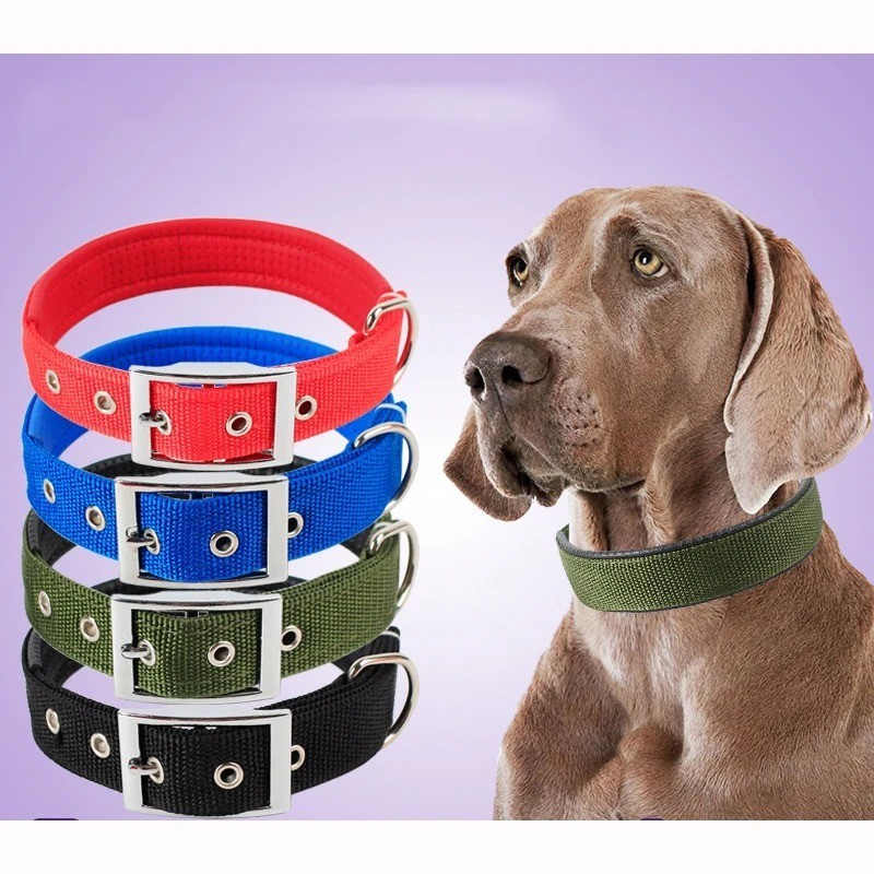 Solid Dog Collars Nylon Dog Collar For Small Medium Large Dogs Teddy Keji Pitbul