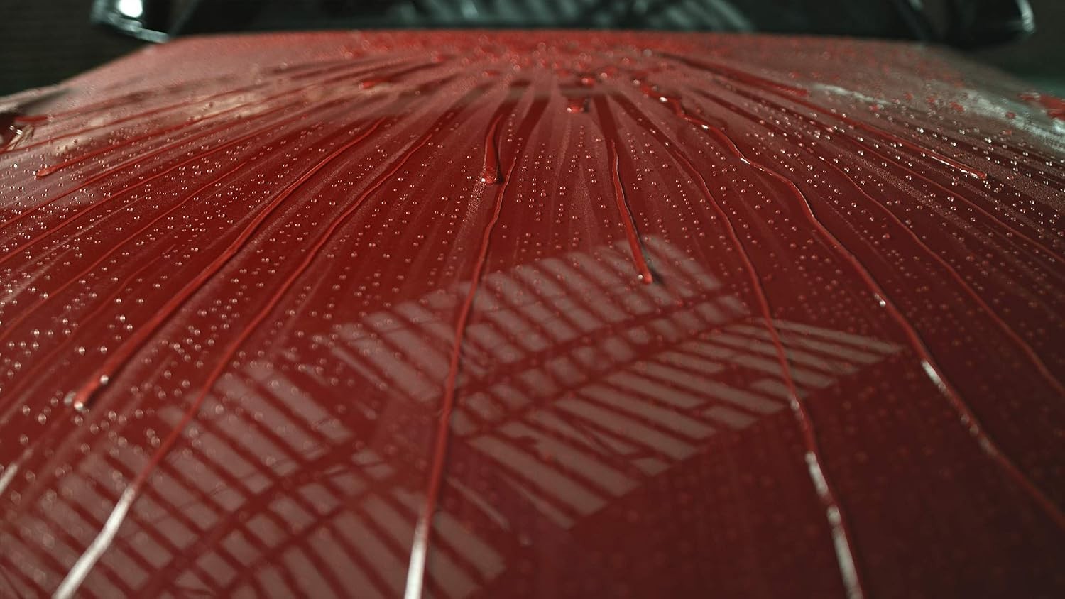 Touchless Sealant SiO2 Technology Water Activated Paint & Glass Protection Spray