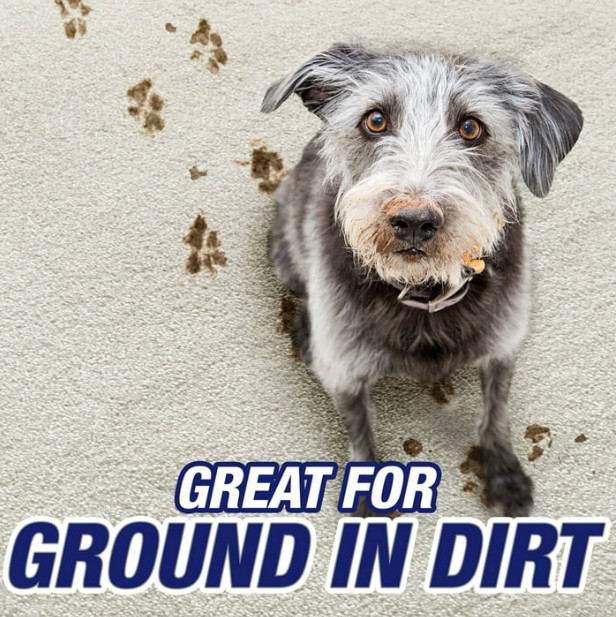 Resolve Carpet Pet Concentrate for Steam Machines 60 Oz Ground-in Dirt Removal
