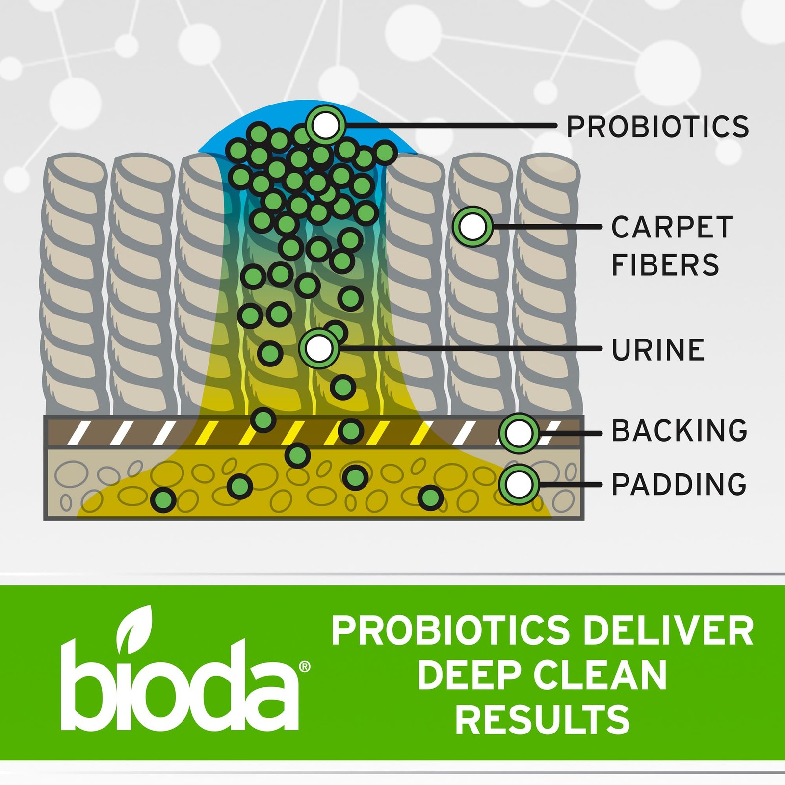Multi-Purpose Probiotic Enzyme Cleaner and Deodorizer | Professional Strength…