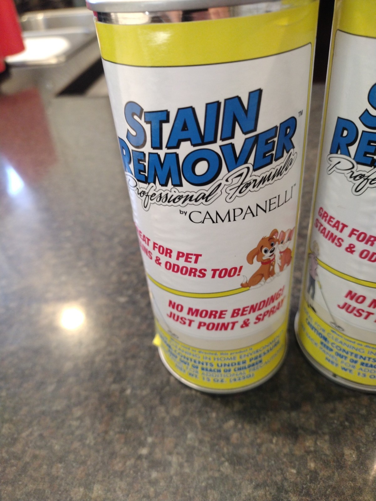 Campanelli Professional Formula Stain Remover 2PACK Point & Spray 15oz Pet Odors