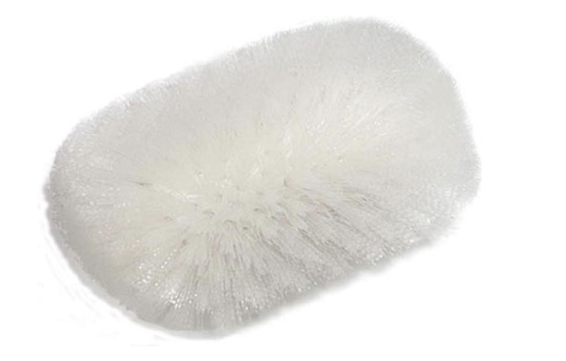 SPARTA 4122000 Plastic Tank Brush 10.5 X 6 Inches, White