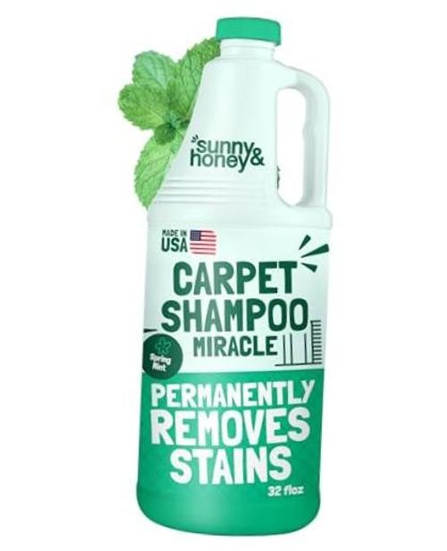 Spring Mint Scent Carpet Cleaner – 32 Fl Oz – Heavy Duty – Pack of 1