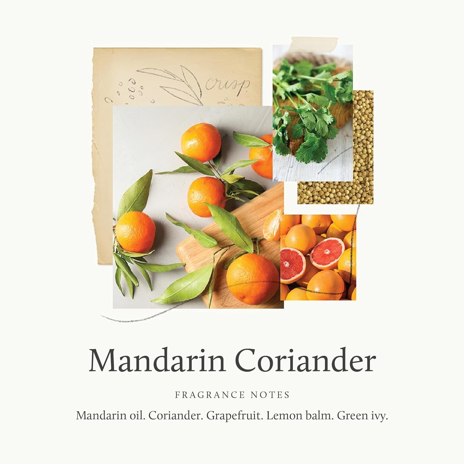 Mandarin Coriander Countertop Spray – 16.5 Fl Oz Eco-Friendly Cleaning Solution