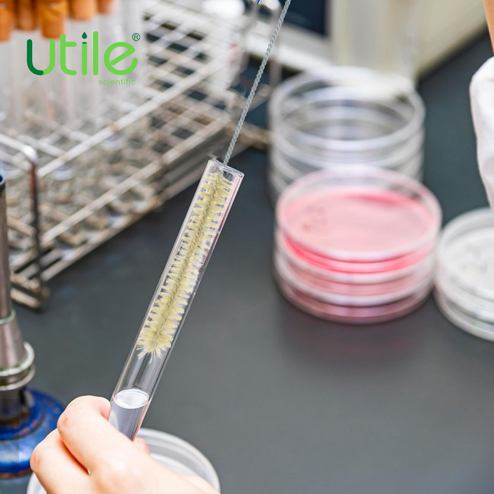 Utile 7 Pcs Lab Cleaning Brush Set 7 Sizes for Different use one Beaker Brush…
