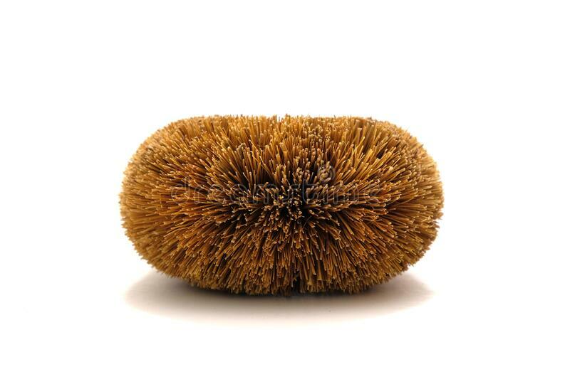 Brush Natural Free  Cleaning Brush Scrubbing Coconut production